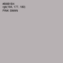 #B8B1B4 - Pink Swan Color Image