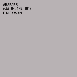 #B8B2B5 - Pink Swan Color Image