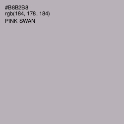 #B8B2B8 - Pink Swan Color Image