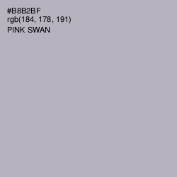 #B8B2BF - Pink Swan Color Image