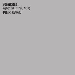 #B8B3B5 - Pink Swan Color Image