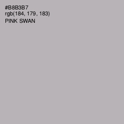 #B8B3B7 - Pink Swan Color Image