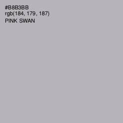 #B8B3BB - Pink Swan Color Image