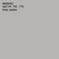 #B8B4B3 - Pink Swan Color Image