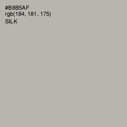 #B8B5AF - Silk Color Image