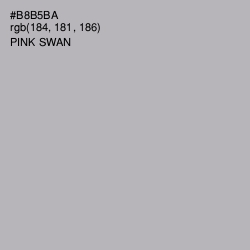 #B8B5BA - Pink Swan Color Image