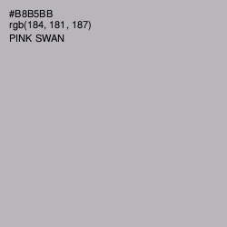 #B8B5BB - Pink Swan Color Image