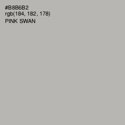 #B8B6B2 - Pink Swan Color Image