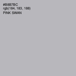 #B8B7BC - Pink Swan Color Image