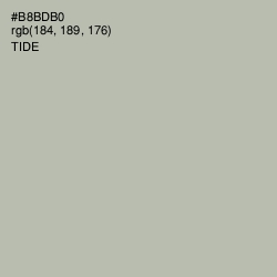 #B8BDB0 - Tide Color Image