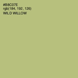 #B8C07E - Wild Willow Color Image