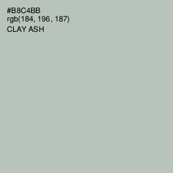 #B8C4BB - Clay Ash Color Image