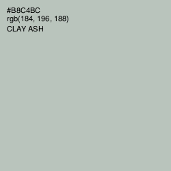 #B8C4BC - Clay Ash Color Image