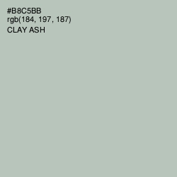 #B8C5BB - Clay Ash Color Image