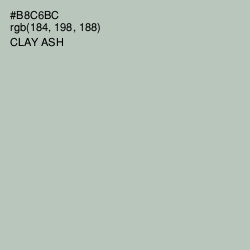 #B8C6BC - Clay Ash Color Image