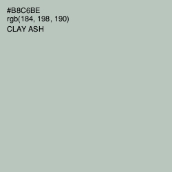 #B8C6BE - Clay Ash Color Image