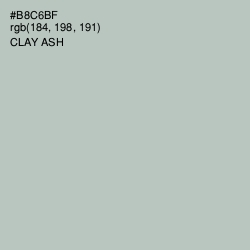 #B8C6BF - Clay Ash Color Image