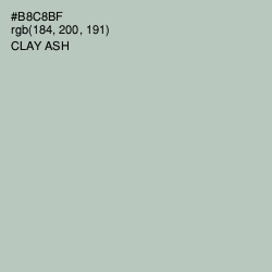 #B8C8BF - Clay Ash Color Image