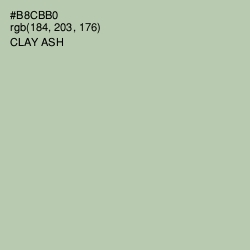 #B8CBB0 - Clay Ash Color Image