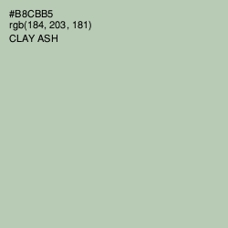 #B8CBB5 - Clay Ash Color Image