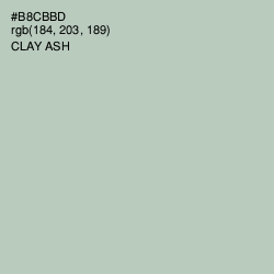 #B8CBBD - Clay Ash Color Image