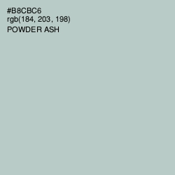 #B8CBC6 - Powder Ash Color Image