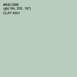 #B8CDBB - Clay Ash Color Image