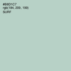 #B8D1C7 - Surf Color Image