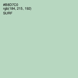 #B8D7C0 - Surf Color Image