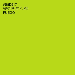 #B8D917 - Fuego Color Image