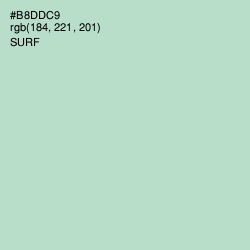 #B8DDC9 - Surf Color Image