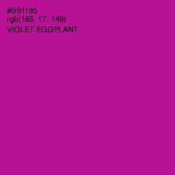 #B91195 - Violet Eggplant Color Image