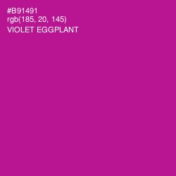 #B91491 - Violet Eggplant Color Image