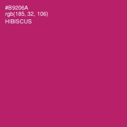 #B9206A - Hibiscus Color Image