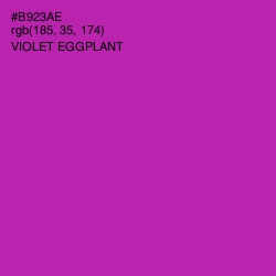 #B923AE - Violet Eggplant Color Image