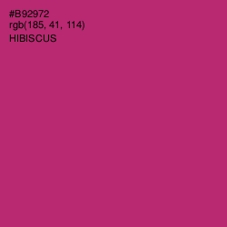 #B92972 - Hibiscus Color Image