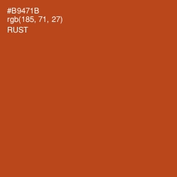 #B9471B - Rust Color Image