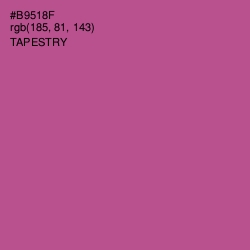 #B9518F - Tapestry Color Image