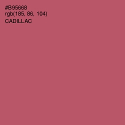 #B95668 - Cadillac Color Image