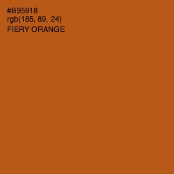 #B95918 - Fiery Orange Color Image
