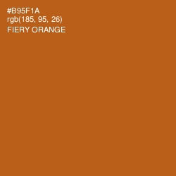 #B95F1A - Fiery Orange Color Image