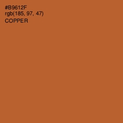 #B9612F - Copper Color Image