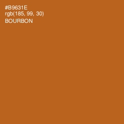 #B9631E - Bourbon Color Image