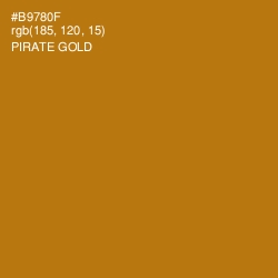 #B9780F - Pirate Gold Color Image