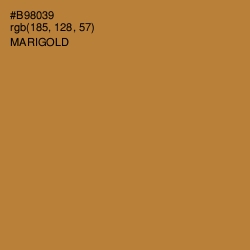 #B98039 - Marigold Color Image
