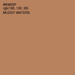 #B9825F - Muddy Waters Color Image