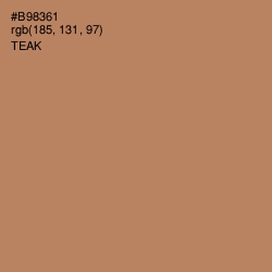 #B98361 - Teak Color Image