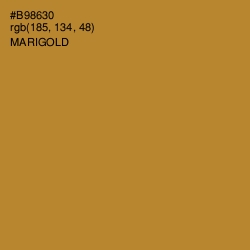 #B98630 - Marigold Color Image