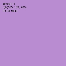 #B98BD1 - East Side Color Image