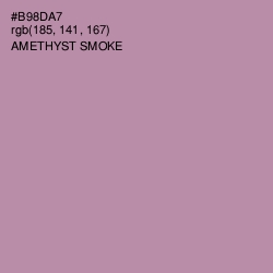 #B98DA7 - Amethyst Smoke Color Image
